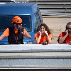 Grupo del perro de Salvamento de Navarra - Galería de fotos 3