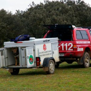 Grupo del perro de Salvamento de Navarra - Galería de fotos 18