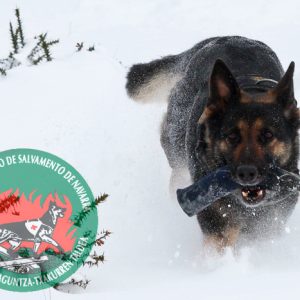 Grupo del perro de Salvamento de Navarra - Galería de fotos 23