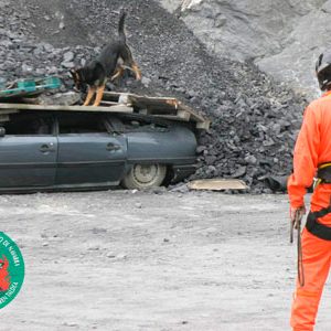 Grupo del perro de Salvamento de Navarra - Galería de fotos 16