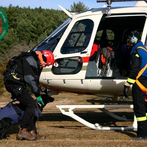 Grupo del perro de Salvamento de Navarra - Galería de fotos 13